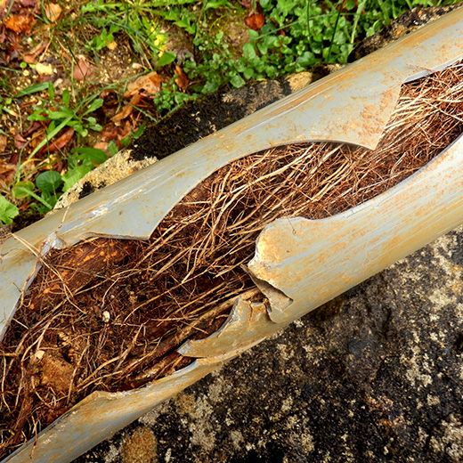 Same Day Drain Sewer & Rooter Pros Across Exeter